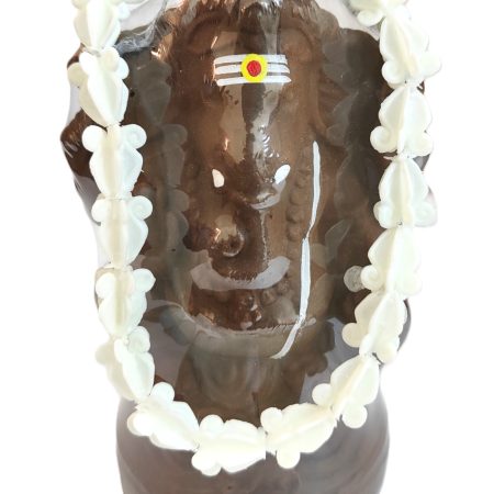 Erukkom Poo Thoran (Small)